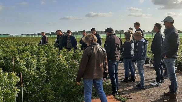 Trekheesterkwekers op bezoek bij kwekerij Wijfjes