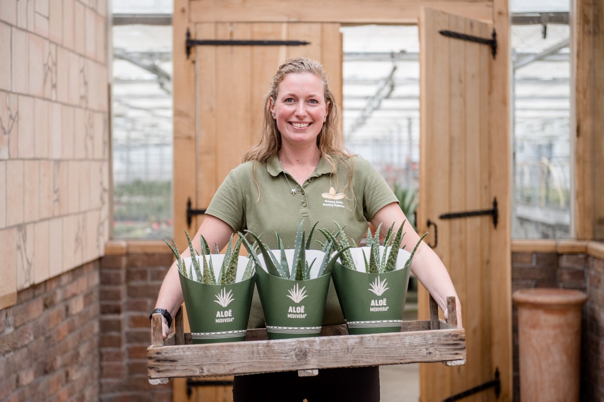 Amigo Plant introduces Aloe Medivera