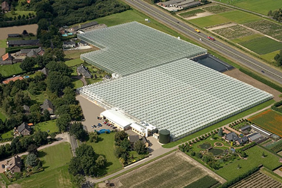 Fresh Valley breidt uit met aankoop in Grubbenvorst en groeit naar 30 ha productie