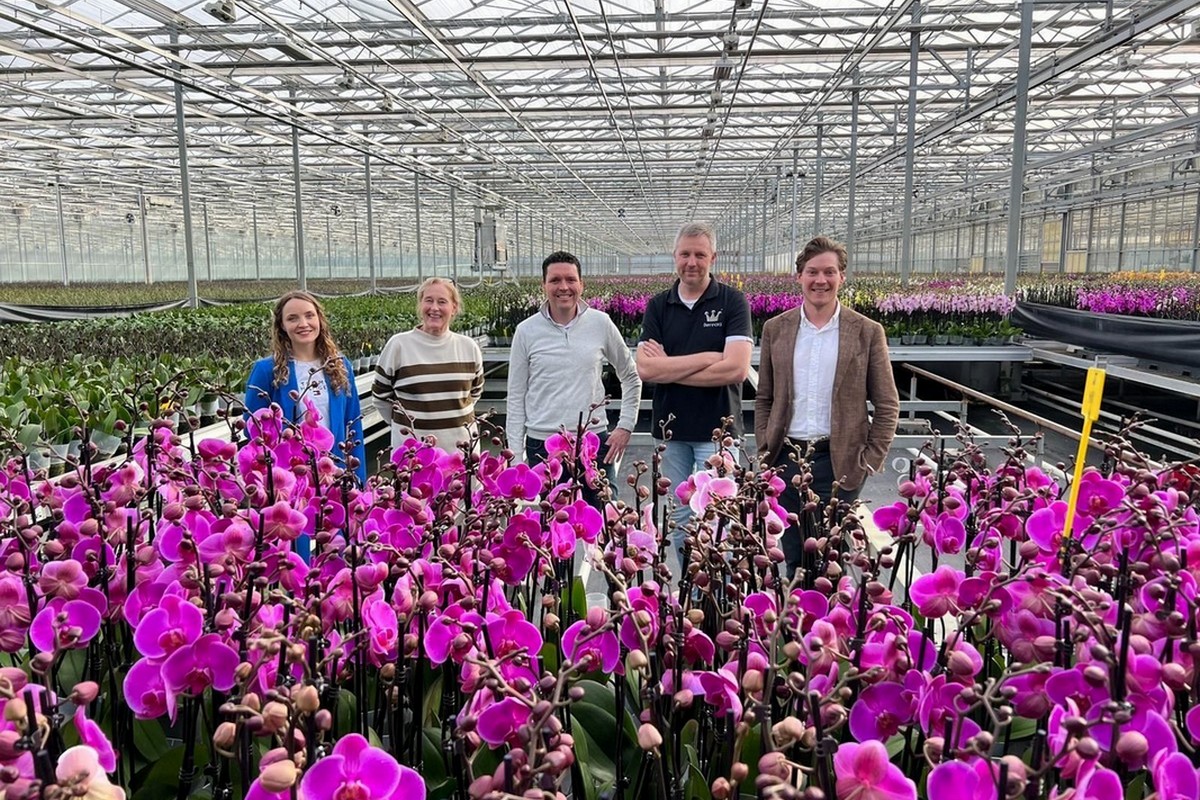 Politici in de kas bij Bernhard Kwekerijen in Luttelgeest