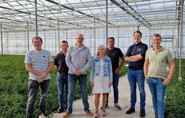 AltaNova Sales splitst op in HD Plants en AltaNova