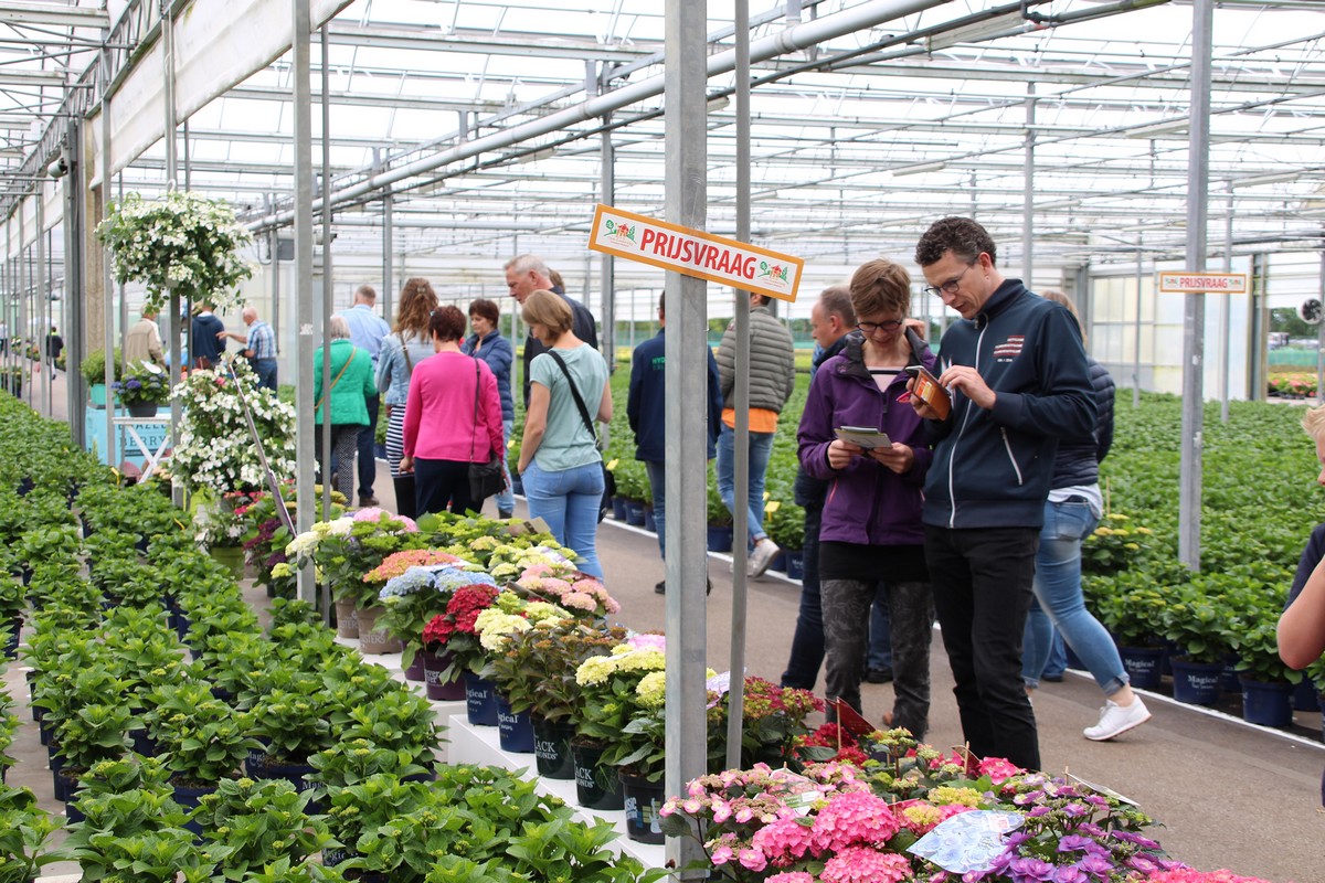 Acht kwekerijen klaar voor Open Kwekerijdag in Hazerswoude-Dorp