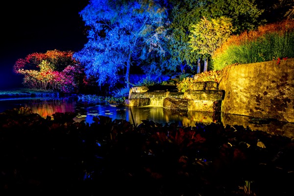 De natuur vormt het decor voor lichtkunstwerken in Arcen