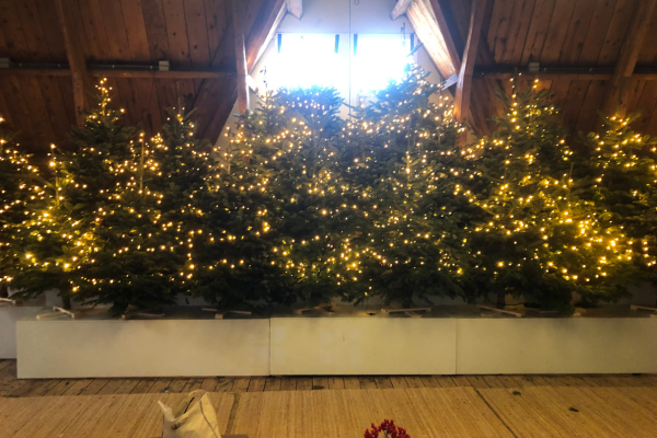 "With Christmas tree rental, we unburden people around Christmas"