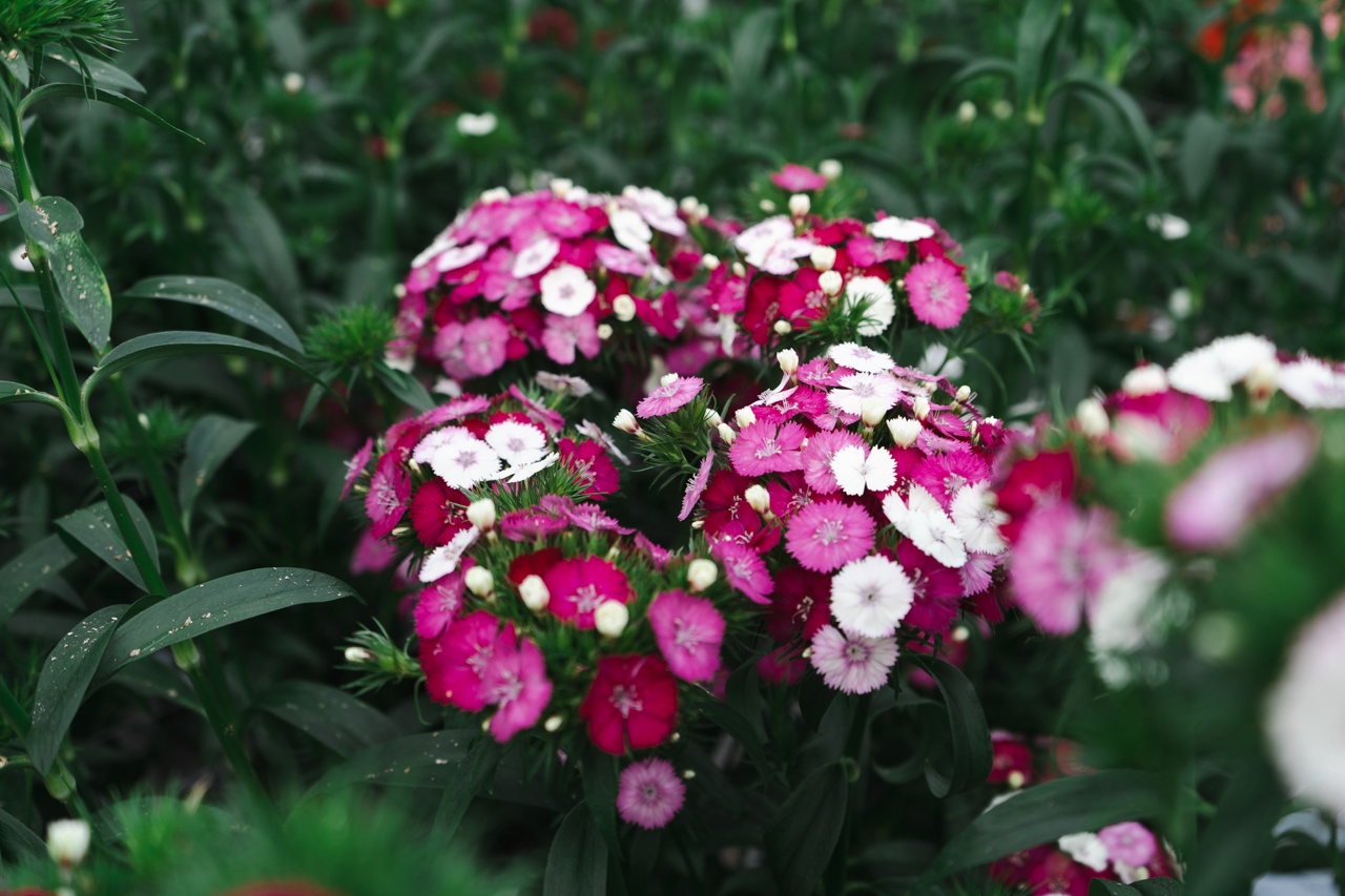 Winterbijeenkomst ‘Route naar een duurzame Teelt’