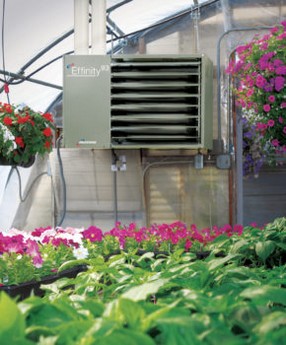 Tips To Improve Grow Room And Greenhouse Temperature Control