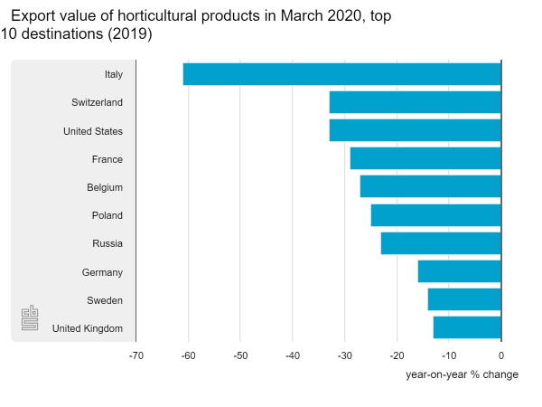 Dutch flower exports down by over one-quarter in March