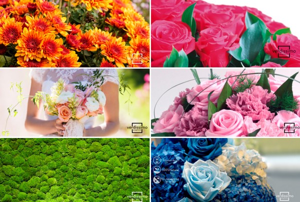 What Are The Differences Between Dried Flowers And Preserved Flowers