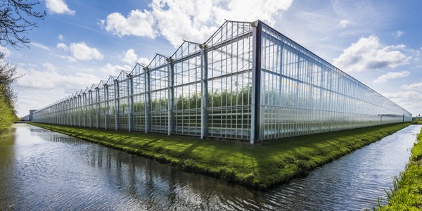 Why Location And Orientation Of Your Greenhouse Matter