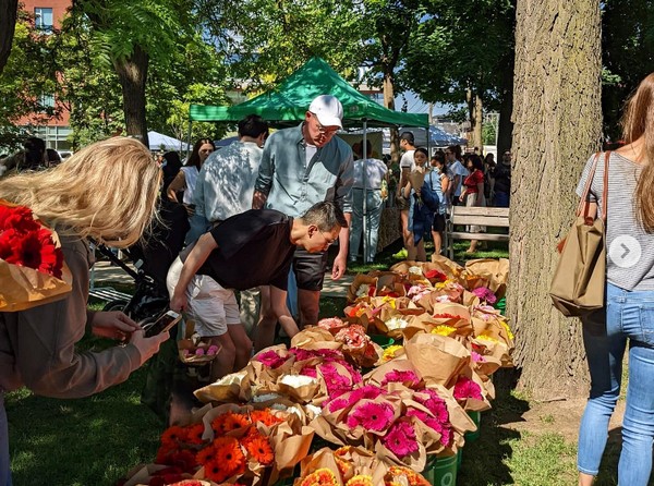 CAN (روشن): تورنتو هر ماه، تمام تابستان، بازار گل دارد