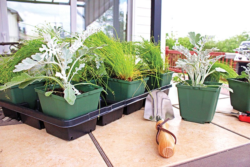 Fabric planters: Potted profits - Garden Center