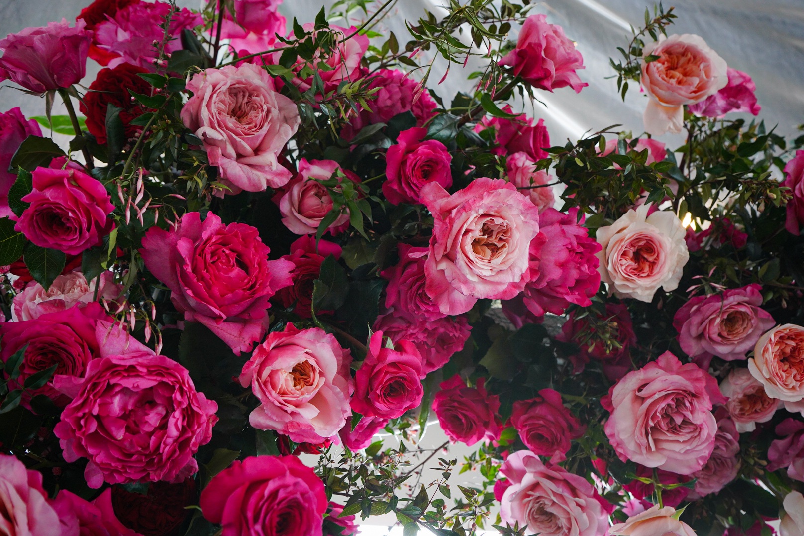 Delaware Valley Floral Group acquires Rokay Floral in Michigan
