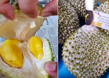 Price udang merah durian Types of