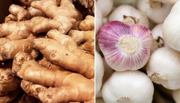 "Export prices of Chinese ginger and garlic are expected ...