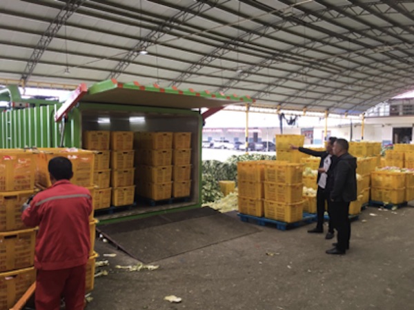 Vacuum Pre Cooling Equipment Effectively Raises The Product Quality Of Fresh Agricultural Produce