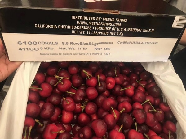 Washington Cherry Season Now Underway