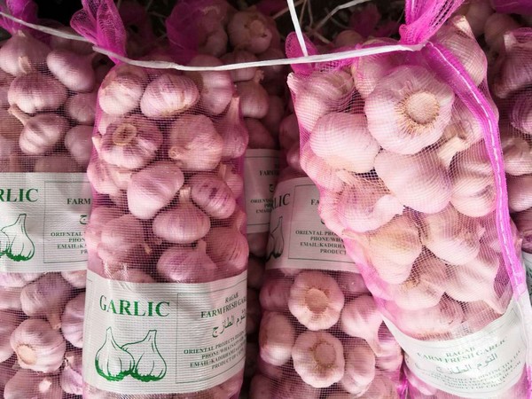 Chinese garlic prices show slight rise