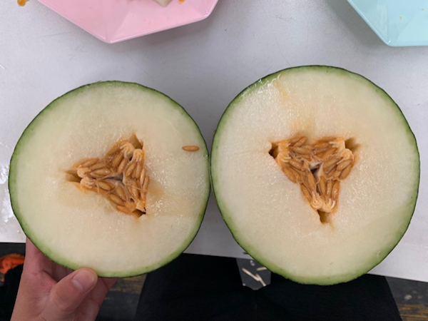 Brazilian muskmelons make first appearance in the Chinese market