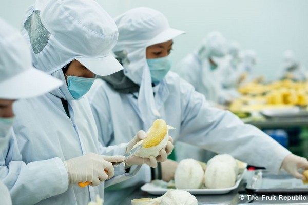 越南柚子加工工厂