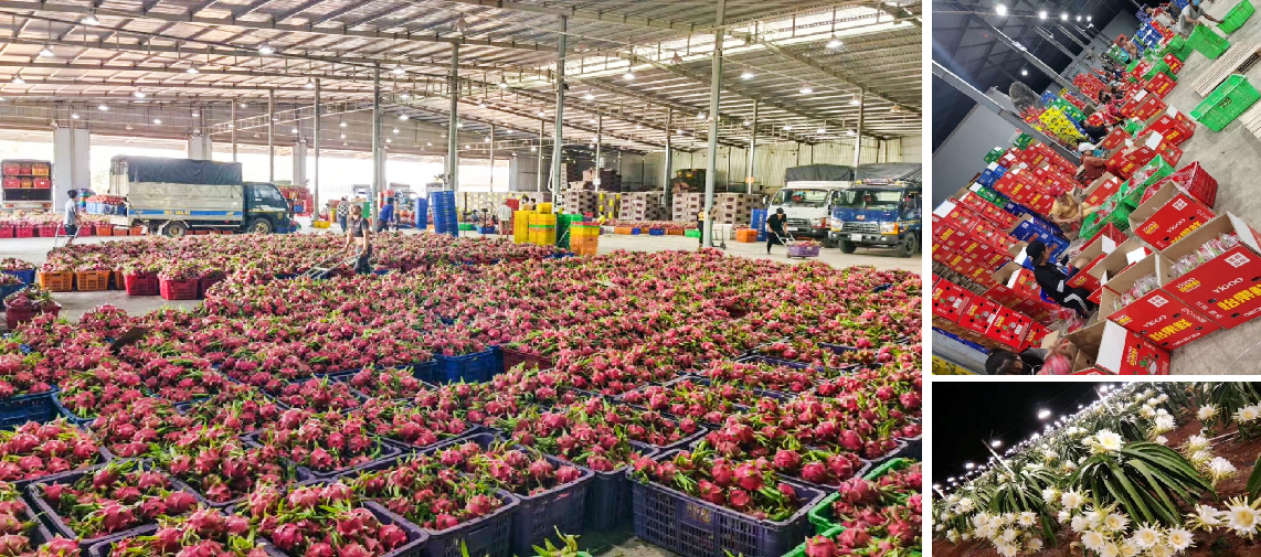 "We hope that overseas suppliers will focus on the huge market potential of China's southwest"