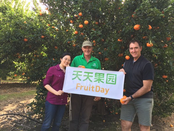 Chinese market price for imported papayas is lower than last season - Vimarsana News