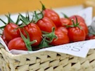 Genome-edited tomato enters Japanese market - Vimarsana News
