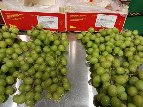 Green Muscato™ Grapes