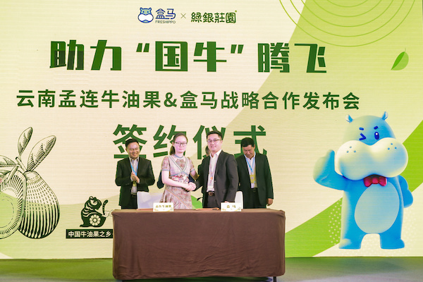 China: Domestically produced avocados are expected to account for 50% of avocado sales on Fresh Hema - Vimarsana News