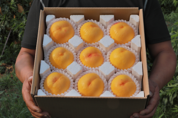 Chinese Fruit Vendors Are Selling Peaches That Are Clad in Tiny