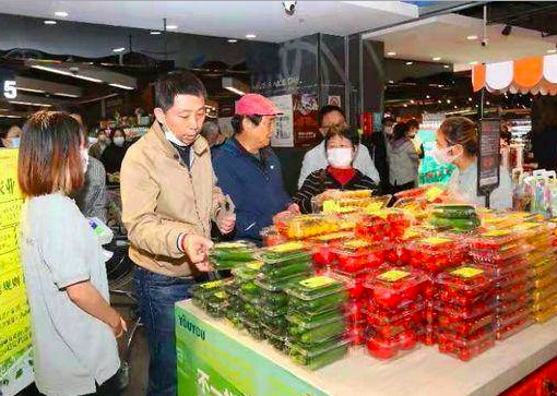 Chongming, Shanghai: High-tech produced vine tomatoes arrive at the market - Vimarsana News
