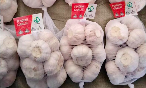 El nuevo cultivo congelado dientes de ajo - China Los cubos de Ajo