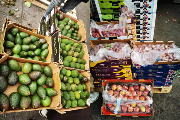 China: Avocado prices rise sharply, Australian prune market hit by Chilean stonefruit - Vimarsana News