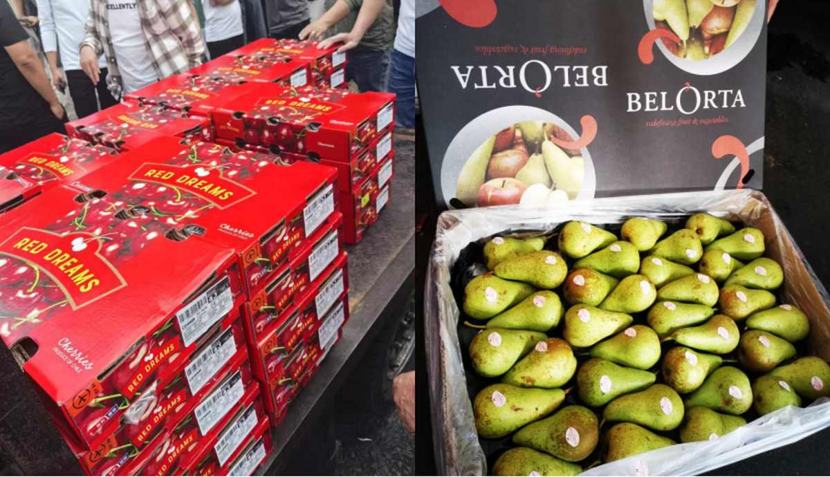 Strong demand ahead of Chinese New Year as Guangzhou unloads 200 containers  of Chilean cherries a day