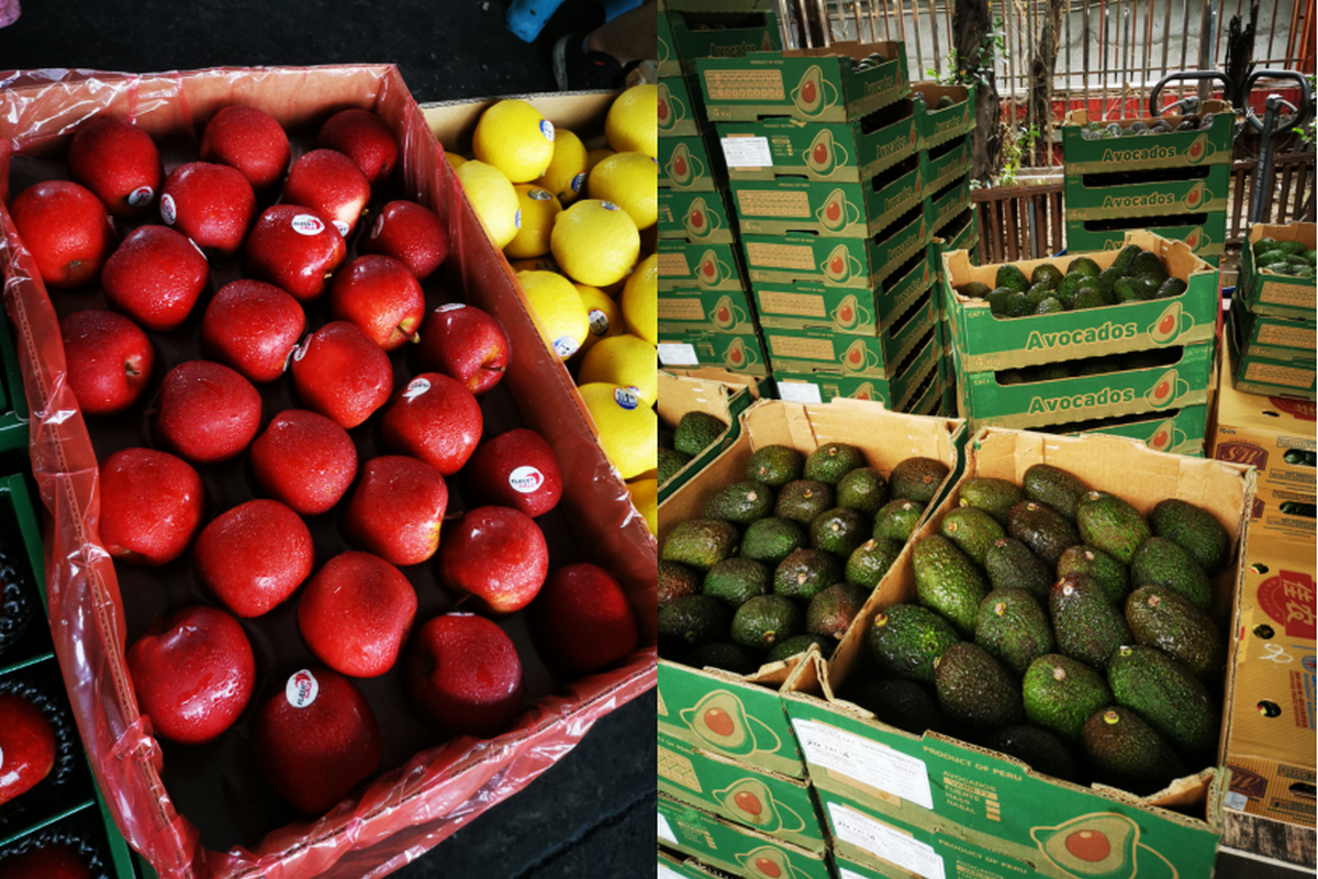 Apple sales accelerate due to holiday effects, and avocado prices continue to rise - Vimarsana News