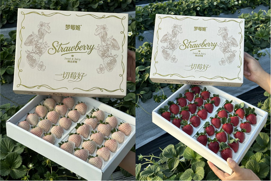 Witte en roze aardbeien winnen terrein naast rode rassen