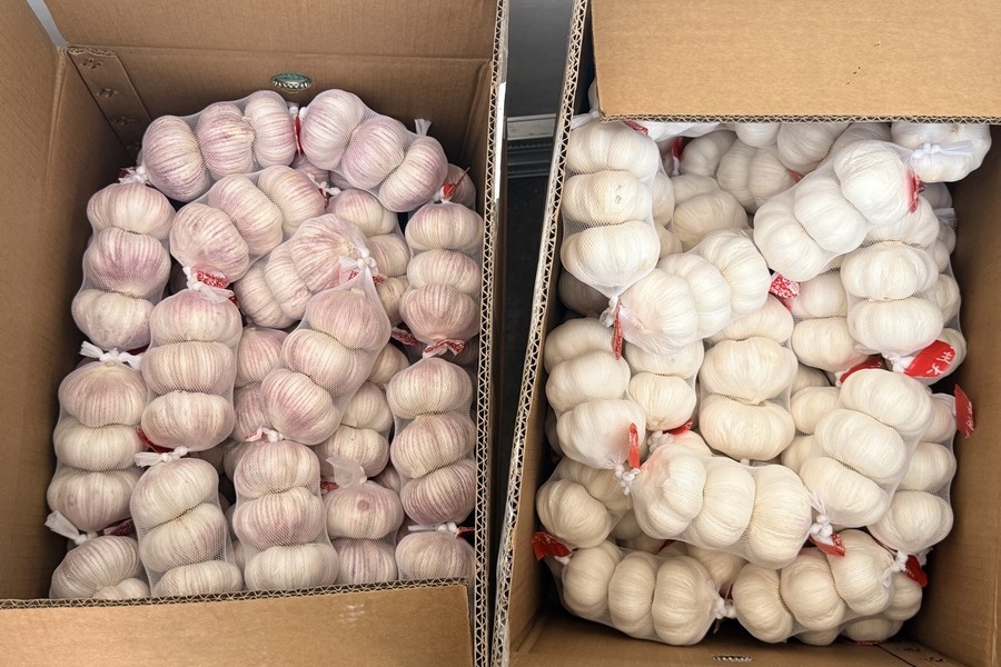 Export knoflook stabiel, binnenlandse vraag in China zwak