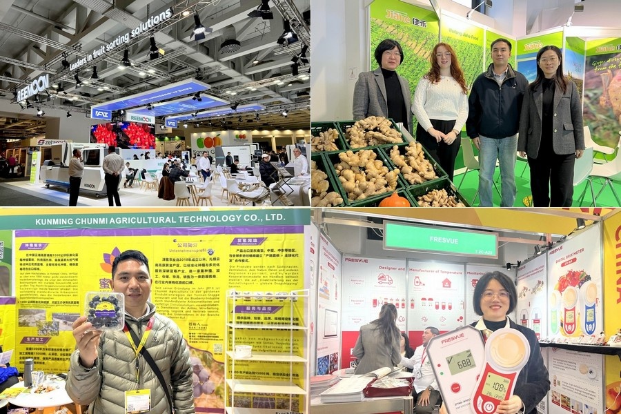 Verschuiving naar waardecreatie en risicospreiding