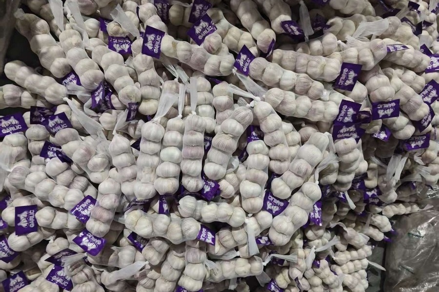 Экспорт чеснока из Китая вырос, рынок востребован