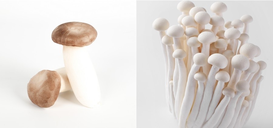 Vraag naar Aziatische paddenstoelen groeit in EU