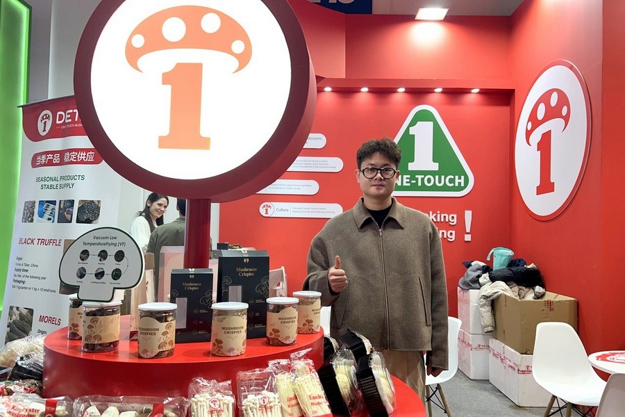 Азиатские грибы набирают популярность в Европе