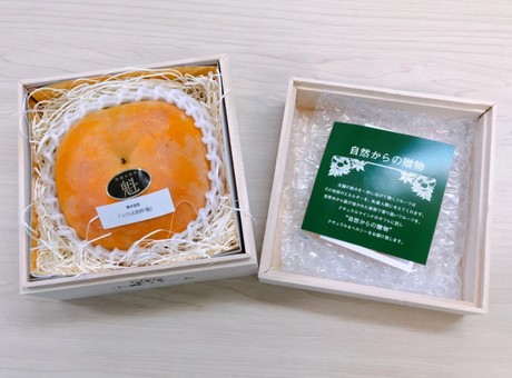 japan persimmon fruit box yen tasting accompanied piece