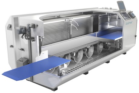 IQF Frozen Onion Processing Line - IQF Onion Freezing System Supplier