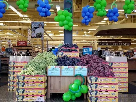 Resultado de imagen para tiendas de uvas