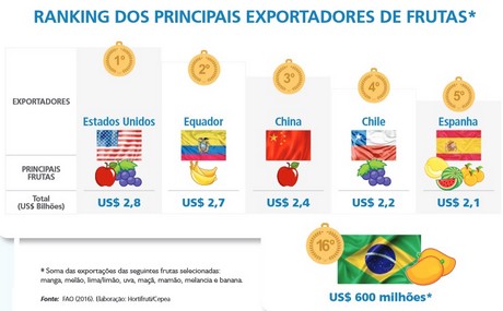 Brazilian Fruit Has The Potential To Be Stronger In The World Market