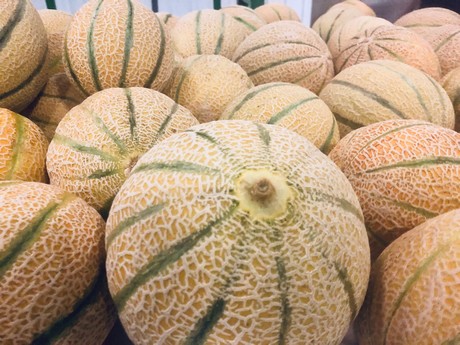 Melon grower-distributor to exhibit new summer program