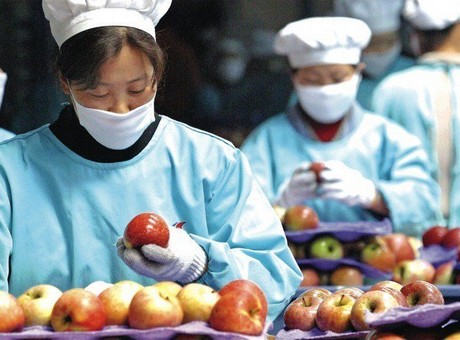 Image result for China vegetables ban"