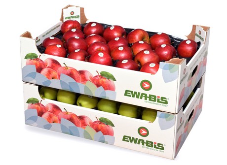 Polnische Apfel Und Bio Preise Werden Sich Erholen