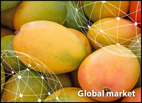 Overview Global Mango Market