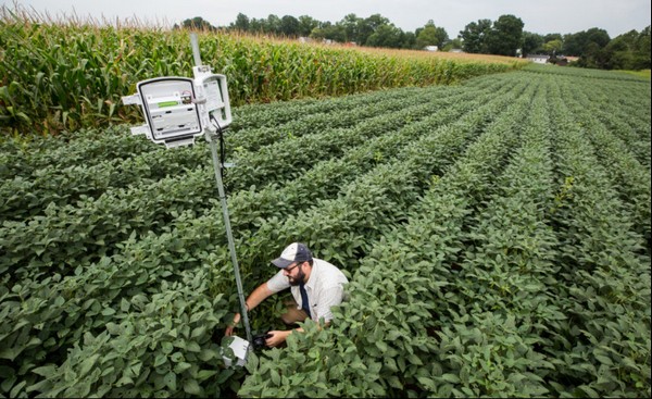 New Farmbeats Project Uses Ai To Increase Grower Efficiency
