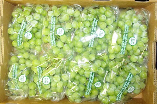 Green Seedless Grapes